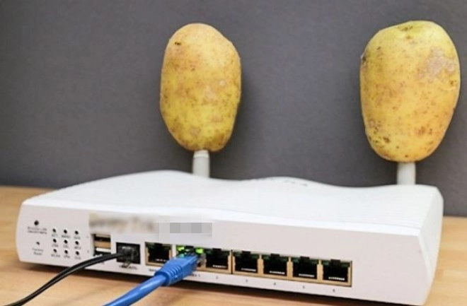 Cắm 2 củ khoai tây lên cục wifi điều bất ngờ sẽ xảy ra vừa tiết kiệm vừa hiệu quả - 1