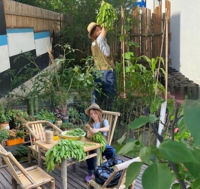 Thuê nhà cổ hơn 90 năm tuổi nữ ca sĩ tự tay cải tạo nhà trồng vườn rau xanh mướt trong sân - 14