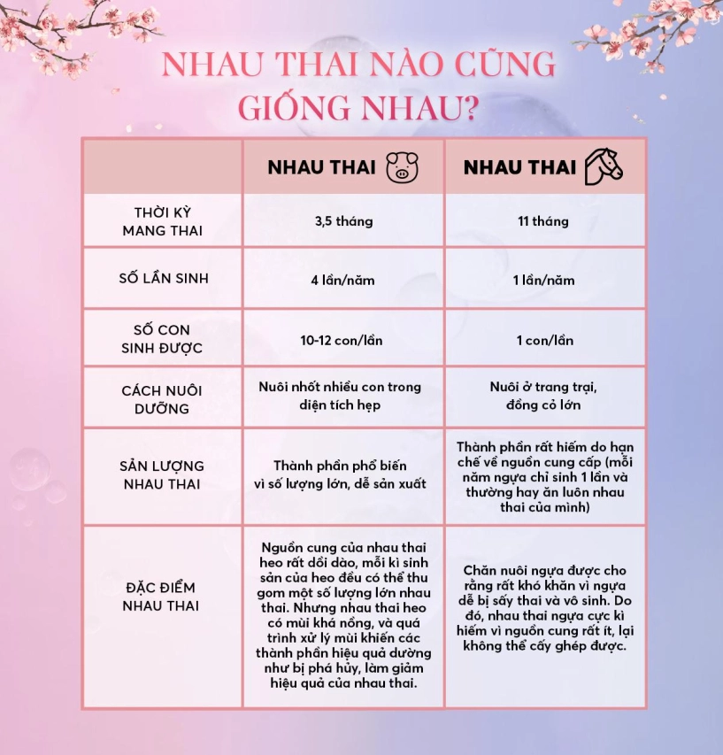 Nhau thai ngựa nguyên chất pure placenta - siêu hoạt chất làm đẹp toàn diện cho phụ nữ giữ mãi tuổi xuân - 1