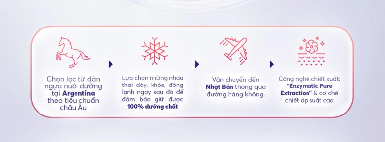 Nhau thai ngựa nguyên chất pure placenta - siêu hoạt chất làm đẹp toàn diện cho phụ nữ giữ mãi tuổi xuân - 2