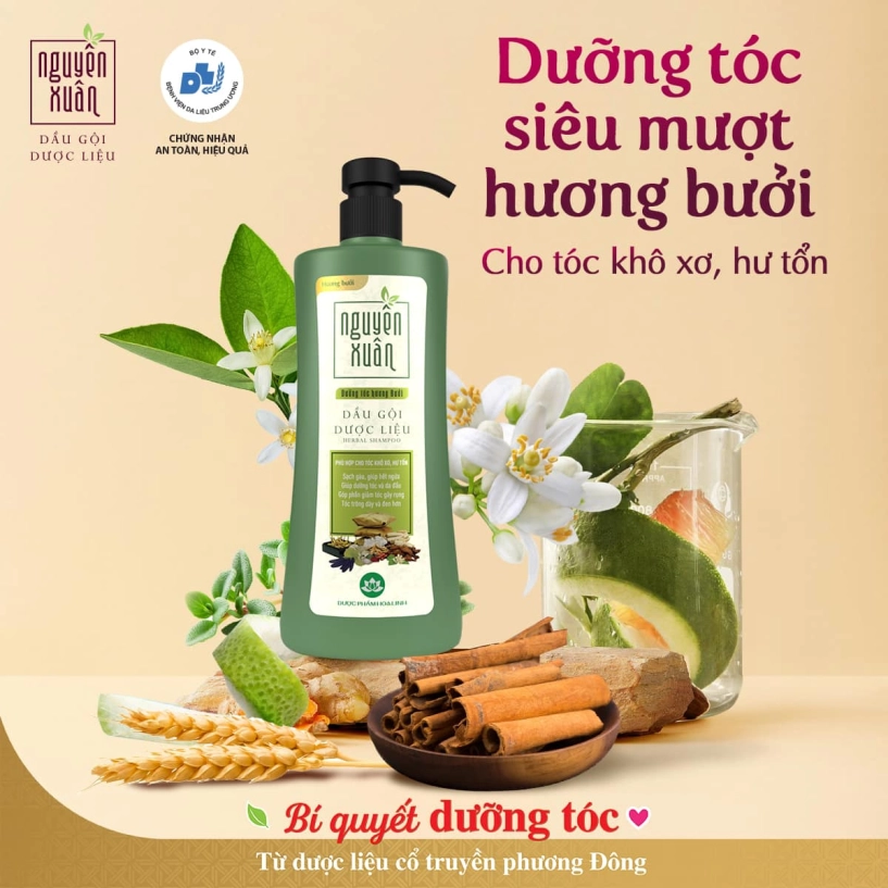 Thách thức mùa rụng tóc với 5 loại dầu gội dược liệu nguyên xuân - 3