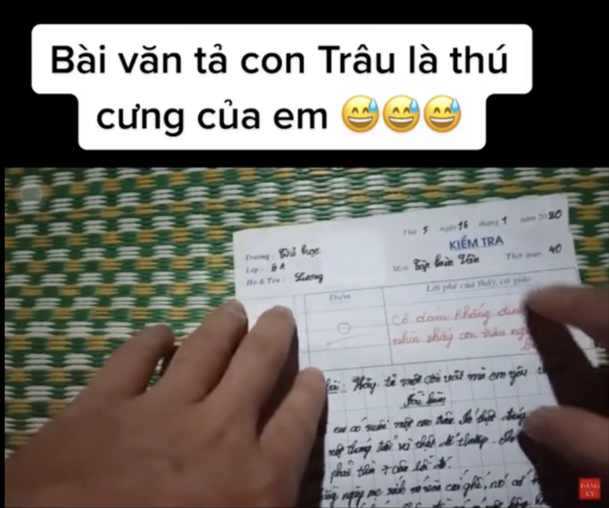 Bài văn tả con vật yêu thích của bé lớp 6 bị cô giáo thẳng tay chấm 0 điểm đọc xong ai cũng đồng tình - 2