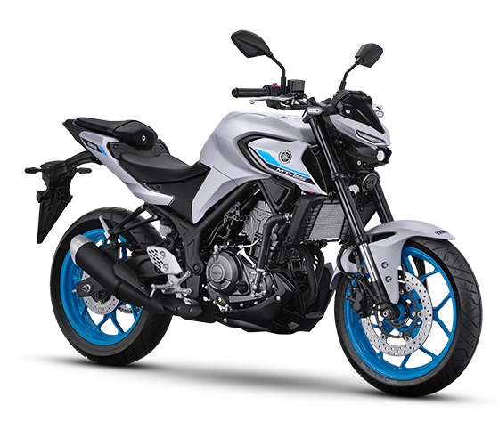 Bí ẩn miếng đệm cao su ở đuôi xe yamaha r25 và mt-25 2025 vừa ra mắt có công dụng bất ngờ - 4