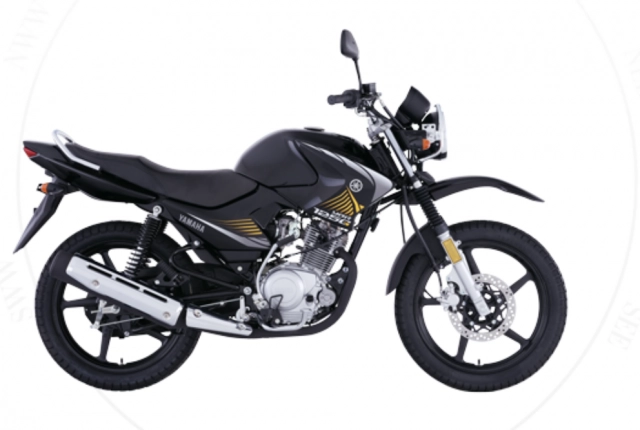 Cận cảnh màu vàng ánh kim trên yamaha ybr 125g 2025 ae có thấy phối màu này đẹp không - 5