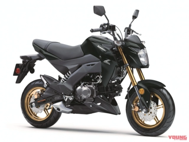 Giá gần 100 triệu kawasaki z125 pro 2025 có đủ sức thu hút ae bằng 3 phối màu mới - 3