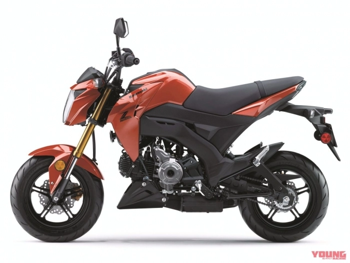 Giá gần 100 triệu kawasaki z125 pro 2025 có đủ sức thu hút ae bằng 3 phối màu mới - 4