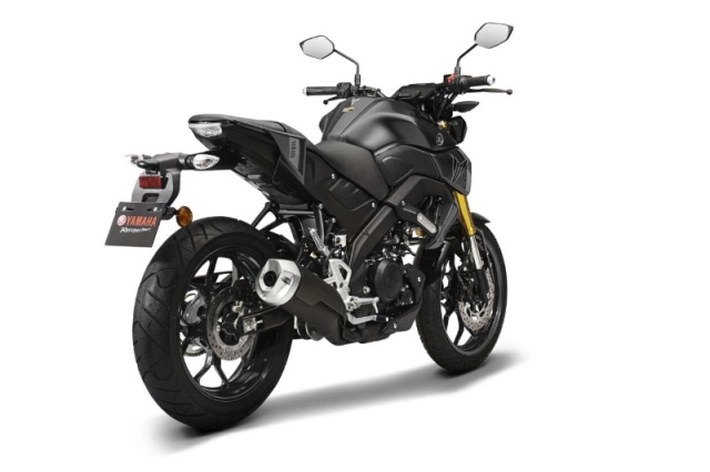 Yamaha mt-15 độc lạ trong cách phối màu trong năm 2024 - 5