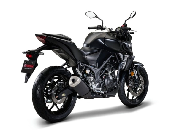 Yamaha mt-25 tung màu mới cho năm 2024 để thu hút người dùng - 5