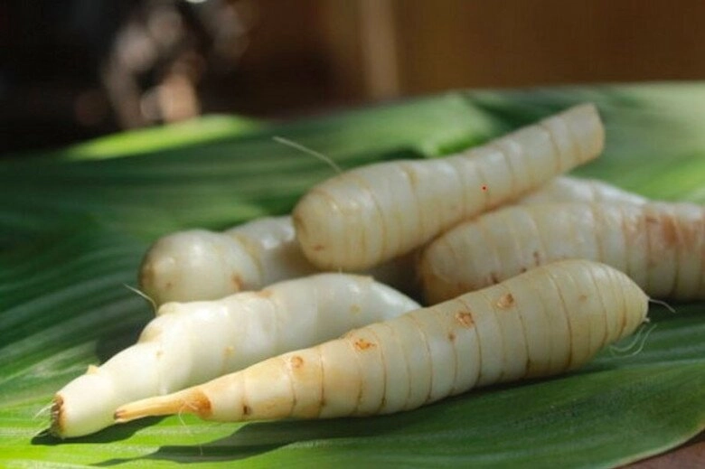 báu vật dưới lòng đất xưa chỉ dành cho người nghèo nay thành đặc sản trồng trong chậu vừa cho củ ăn vừa làm cảnh - 2