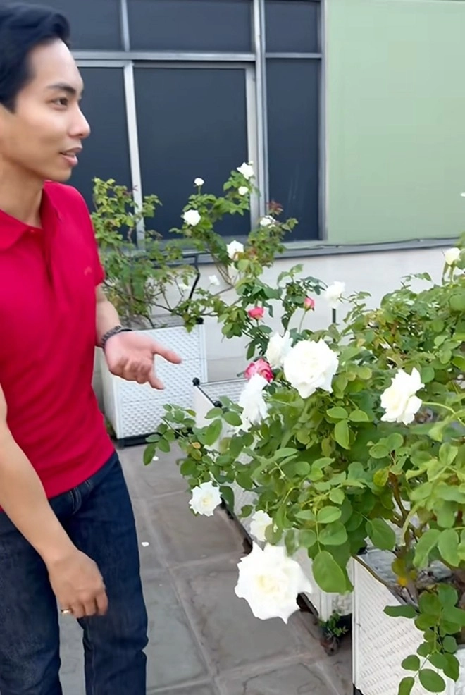 Cận cảnh vườn hoa hồng ngoại nhà khánh thi - phan hiển đang bung lụa hết cỡ có giống hoa đột biến - 11