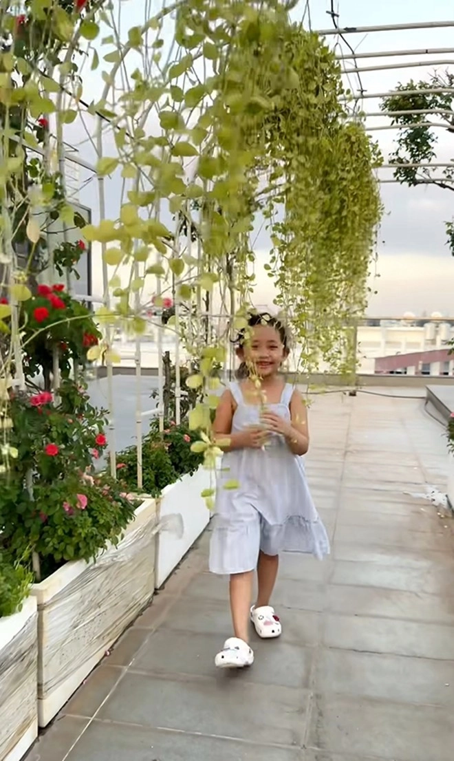 Cận cảnh vườn hoa hồng ngoại nhà khánh thi - phan hiển đang bung lụa hết cỡ có giống hoa đột biến - 24