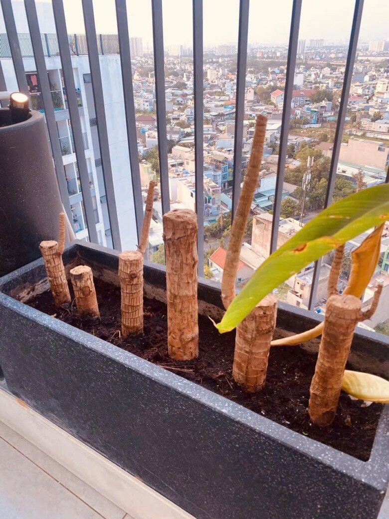 Cao thái hà xây nhà cho mẹ nhưng bị chê nữ diễn viên ấm ức lên mạng chất vấn - 9