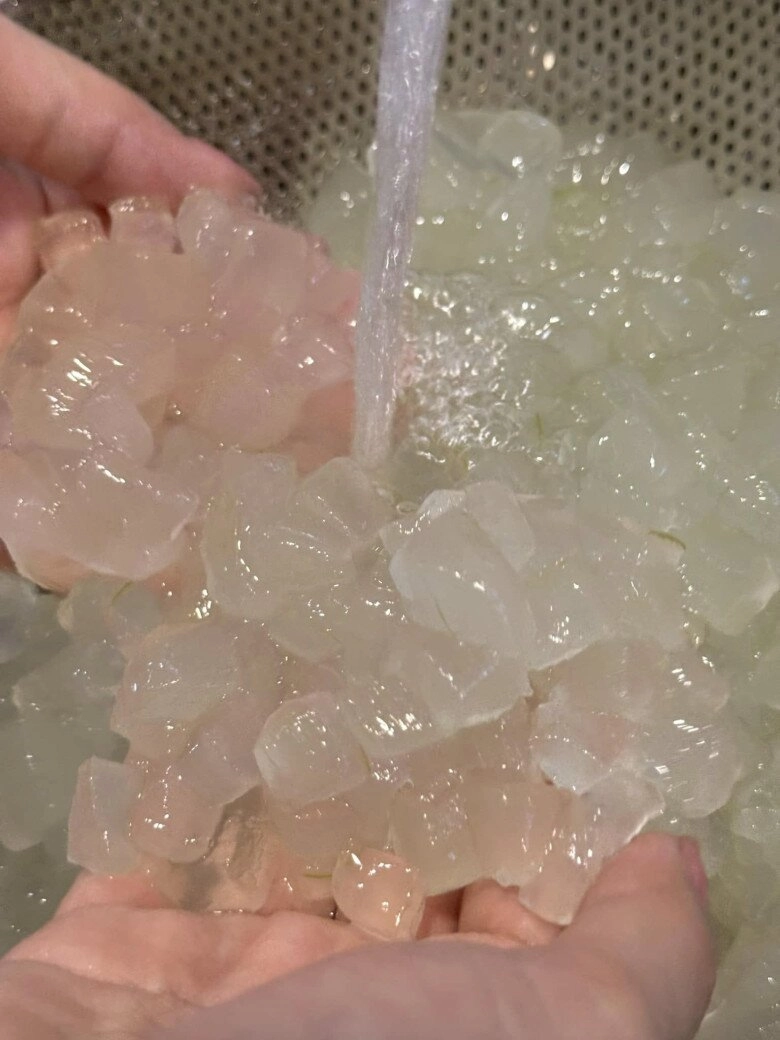 Cuộc sống của mỹ tâm trong cơ ngơi hàng nghìn m2 ở củ chi trồng cây nuôi gà hoa trái ngập đầy vườn - 14