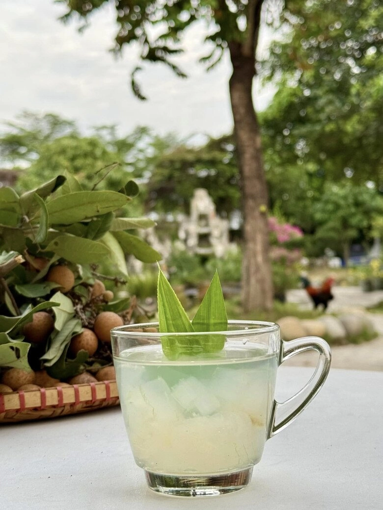 Cuộc sống của mỹ tâm trong cơ ngơi hàng nghìn m2 ở củ chi trồng cây nuôi gà hoa trái ngập đầy vườn - 15