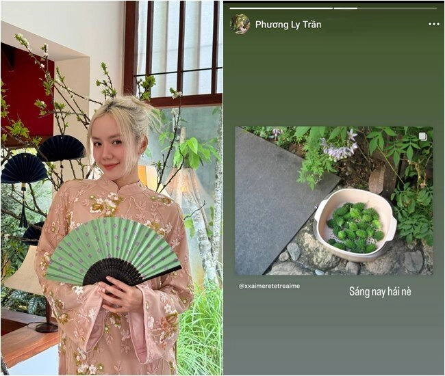 Em gái phương linh ca sĩ nhà giàu hoa hậu nhà nghèo đều khoái chí với mâm cơm từ rau sạch tự hái - 1