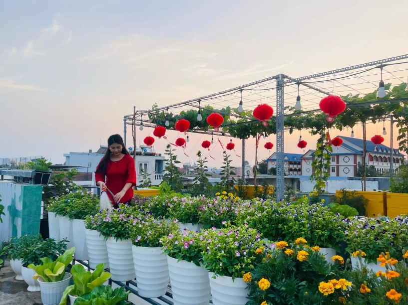 khu vườn trên mây của cô nàng 9x rau xanh quanh năm hoa rực rỡ 4 mùa nhìn giàn nho càng mê - 4