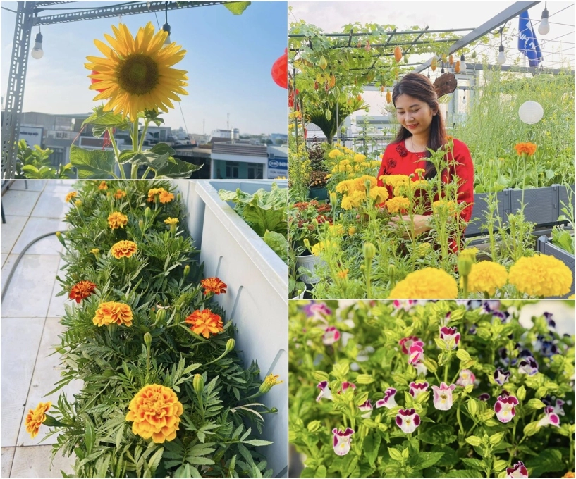 khu vườn trên mây của cô nàng 9x rau xanh quanh năm hoa rực rỡ 4 mùa nhìn giàn nho càng mê - 5