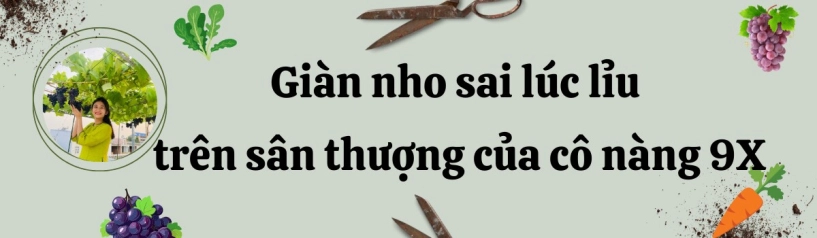 khu vườn trên mây của cô nàng 9x rau xanh quanh năm hoa rực rỡ 4 mùa nhìn giàn nho càng mê - 11