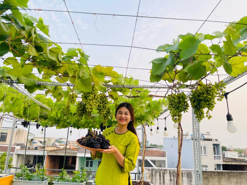 khu vườn trên mây của cô nàng 9x rau xanh quanh năm hoa rực rỡ 4 mùa nhìn giàn nho càng mê - 12