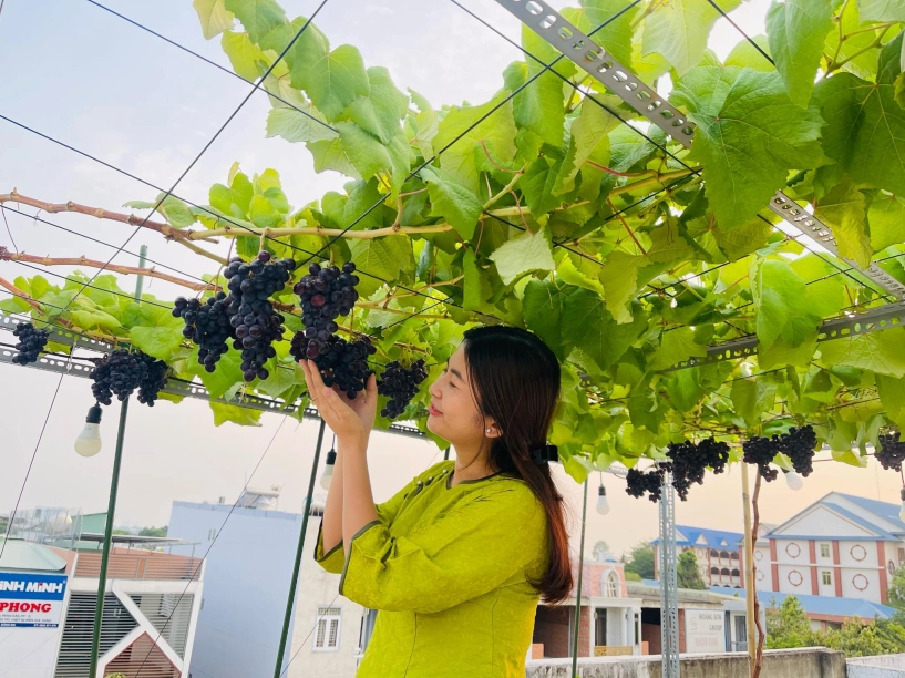 khu vườn trên mây của cô nàng 9x rau xanh quanh năm hoa rực rỡ 4 mùa nhìn giàn nho càng mê - 14