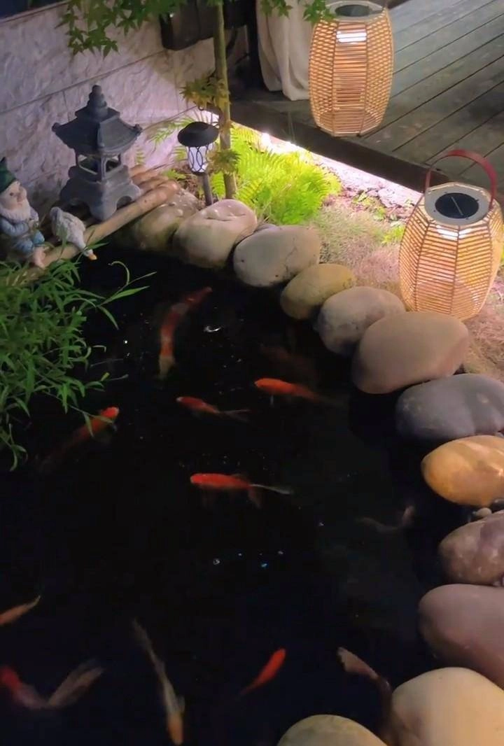 Muốn con có chỗ vui đùa và nuôi thỏ ông bố tự tay thiết kế sân vườn đẹp như mơ - 4