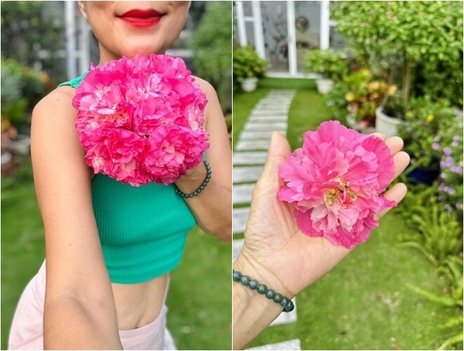 Nữ ca sĩ có khu vườn 10000m2 giữa lòng tphcm quanh năm có hoa để cúng có trái để ăn - 6