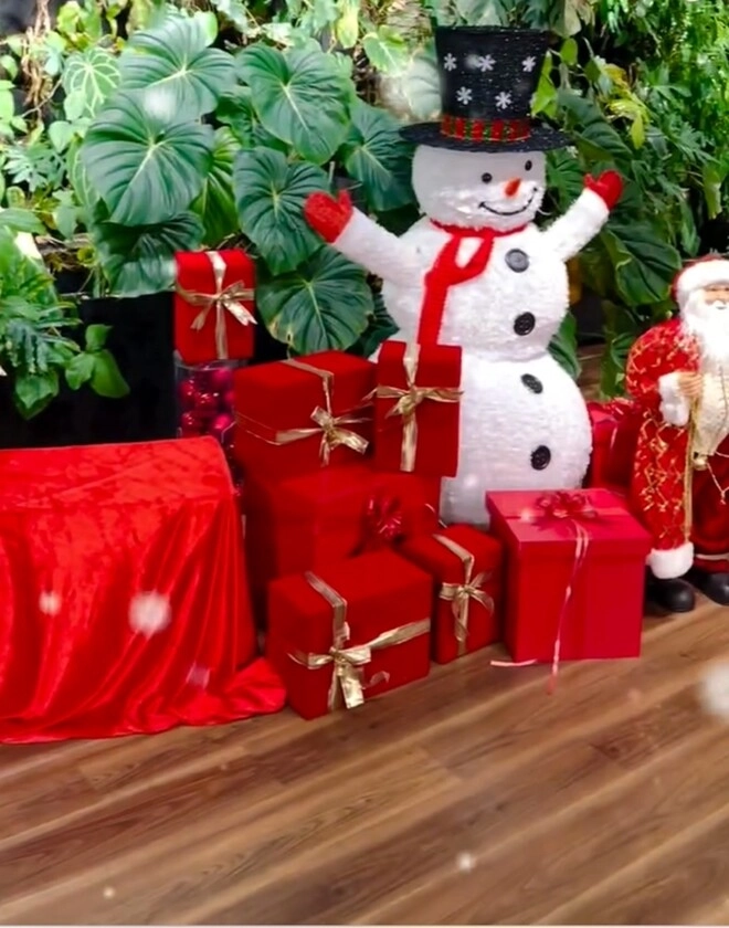 Phan hiển khoe thành quả trang trí sân vườn noel nhưng chứng tỏ độ nịnh khánh thi đỉnh cao - 2