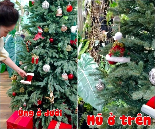 Phan hiển khoe thành quả trang trí sân vườn noel nhưng chứng tỏ độ nịnh khánh thi đỉnh cao - 3
