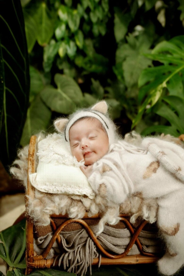 Phan hiển khoe thành quả trang trí sân vườn noel nhưng chứng tỏ độ nịnh khánh thi đỉnh cao - 7