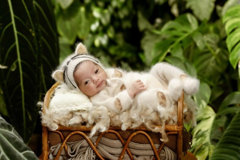 Phan hiển khoe thành quả trang trí sân vườn noel nhưng chứng tỏ độ nịnh khánh thi đỉnh cao - 8