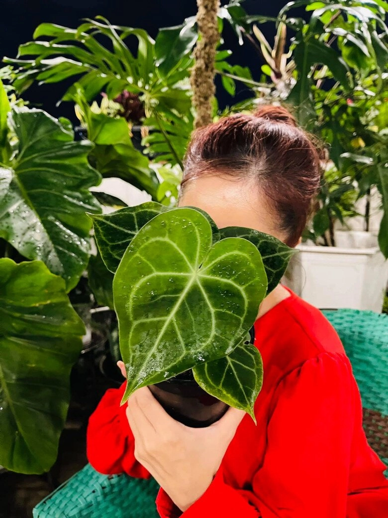 Phan hiển khoe thành quả trang trí sân vườn noel nhưng chứng tỏ độ nịnh khánh thi đỉnh cao - 12