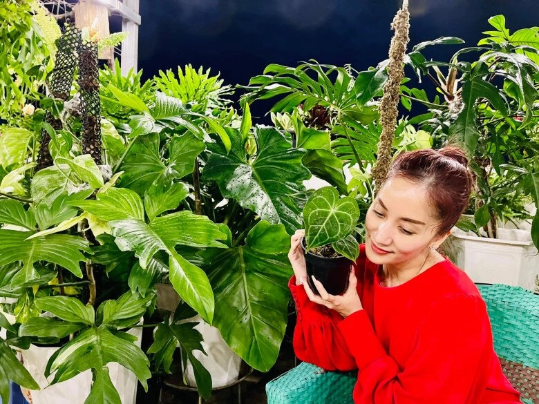 Phan hiển khoe thành quả trang trí sân vườn noel nhưng chứng tỏ độ nịnh khánh thi đỉnh cao - 13