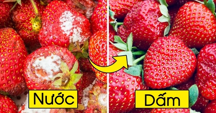 13 cách bảo quản rau củ vừa đơn giản lại cực hữu ích tránh lãng phí chị em hãy thử ngay nhé - 3