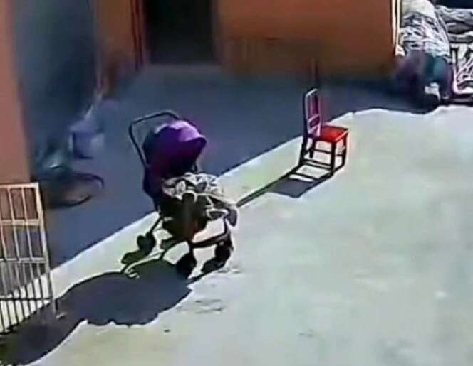 Bà ngoại đưa cháu sơ sinh ra trước hiên nhà tắm nắng diễn biến sau đó khiến nhiều người xót xa - 2