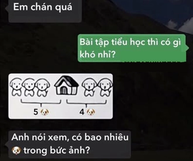 Bài toán tiểu học có bao nhiêu con chó trong bức ảnh bố trả lời 5 con khiến mẹ chán hẳn - 1