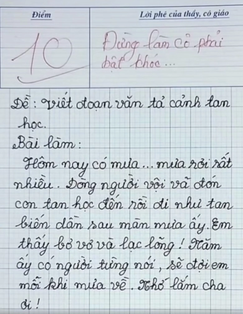 Bài văn của học sinh chỉ 7 dòng được cô giáo chấm 10 điểm làm nhiều người bật khóc - 2