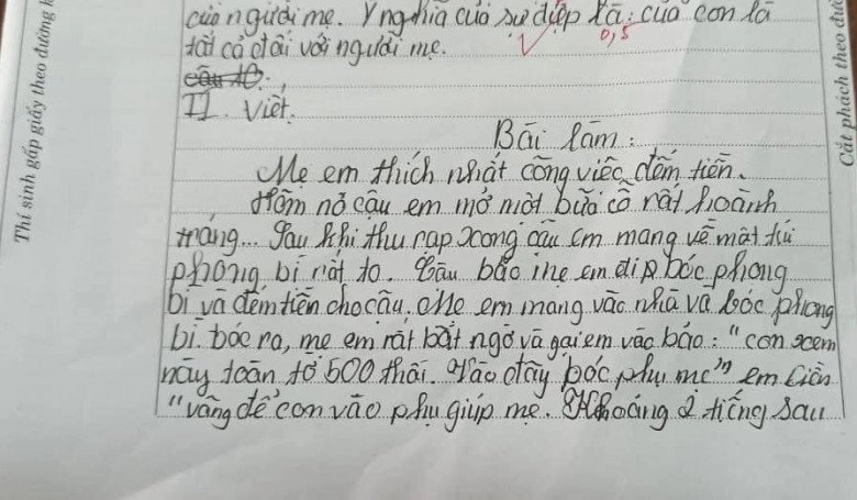 Bài văn tiểu học tả công việc yêu thích của mẹ ở nhà khiến mẹ đỏ mặt còn nhiều người cười chảy nước mắt - 2
