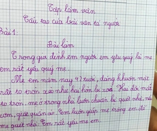 Bài văn tiểu học tả công việc yêu thích của mẹ ở nhà khiến mẹ đỏ mặt còn nhiều người cười chảy nước mắt - 4