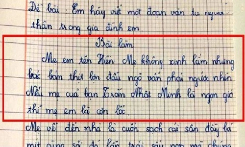 Bài văn tiểu học tả công việc yêu thích của mẹ ở nhà khiến mẹ đỏ mặt còn nhiều người cười chảy nước mắt - 6