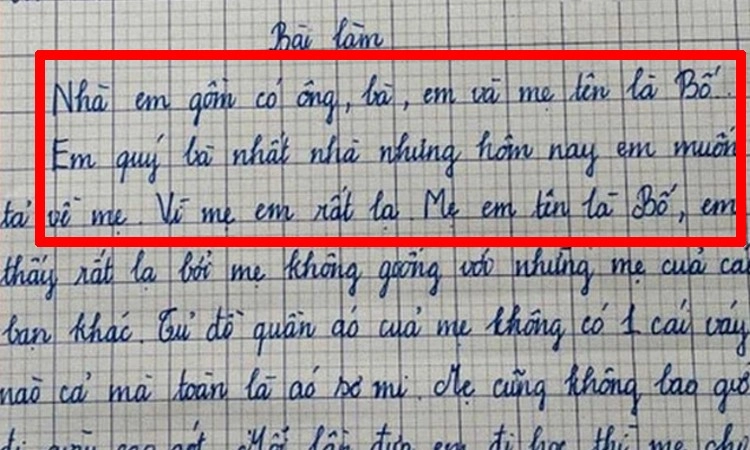 Bài văn tiểu học tả công việc yêu thích của mẹ ở nhà khiến mẹ đỏ mặt còn nhiều người cười chảy nước mắt - 7