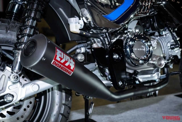 Bạn đã biết đến phiên bản honda monkey z125 monkey fs 5th limited edition chưa - 6