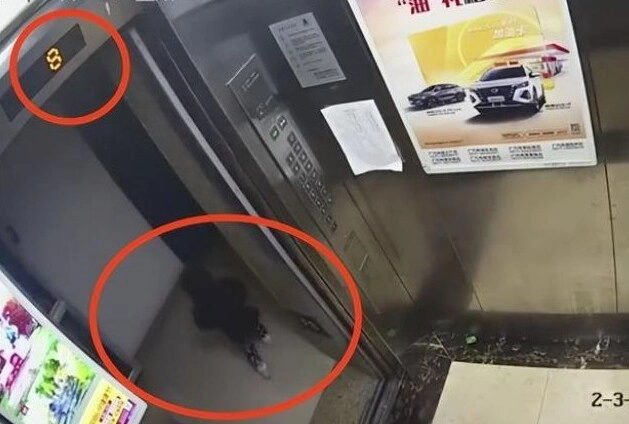 Bé gái 2 tuổi tử vong vì rơi từ tầng 8 camera ghi lại cảnh tượng đau lòng hé lộ thủ phạm thực sự - 4