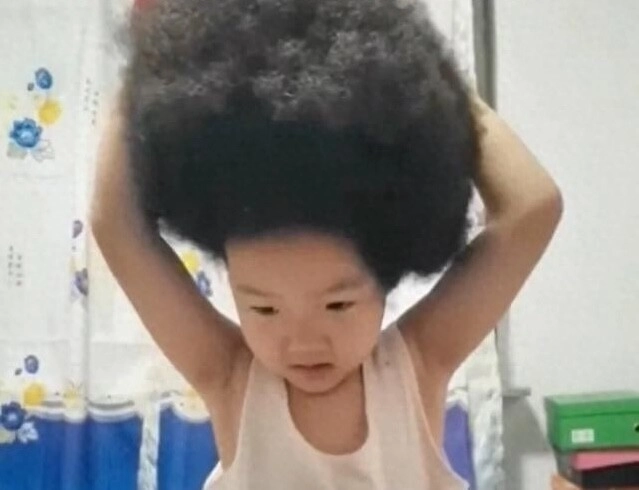 Bé gái 5 tuổi sinh ra có mái tóc xoăn như tổ chim tưởng di truyền nhưng biết dung mạo bố mẹ ai cũng ngỡ ngàng - 2