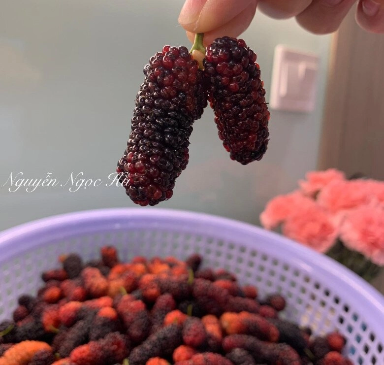 Cách làm siro dâu tằm ngọt ngon thơm nức không bị lên men hay màng hỏng uống giải khát mùa hè cực đã - 3