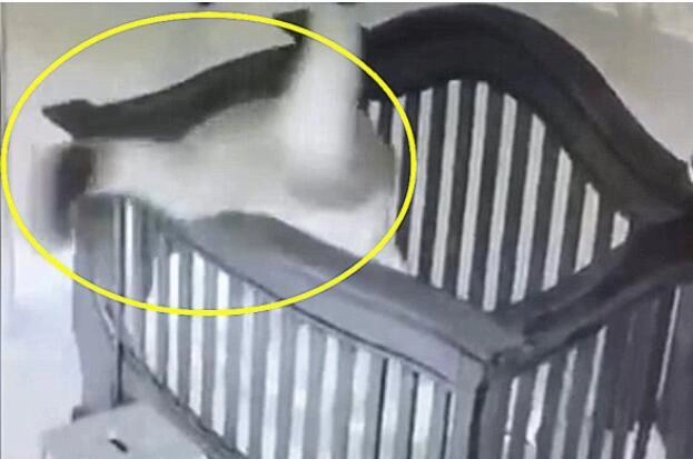 Camera ghi lại cảnh bà ngoại bế cháu đi ngủ lúc nửa đêm nhưng xảy ra chuyện không ổn ai xem cũng run rẩy - 2
