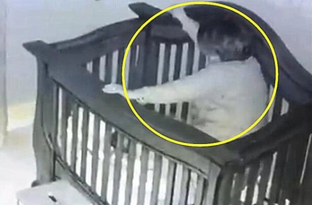 Camera ghi lại cảnh bà ngoại bế cháu đi ngủ lúc nửa đêm nhưng xảy ra chuyện không ổn ai xem cũng run rẩy - 3