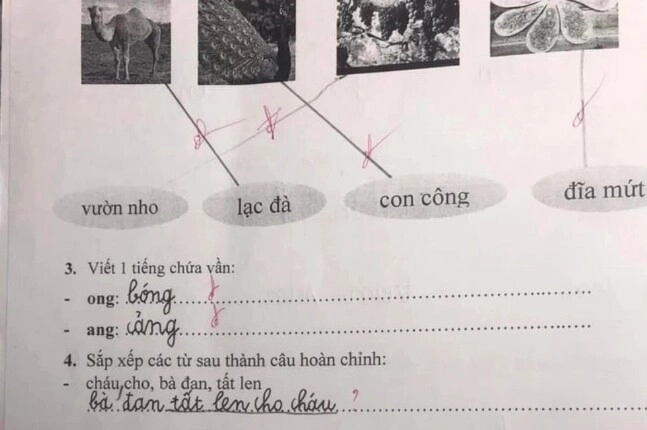 Cô giáo giao bài tập điền từ tiếng việt siêu khó khiến dân tình thi nhau đoán đáp án gây hoang mang - 3