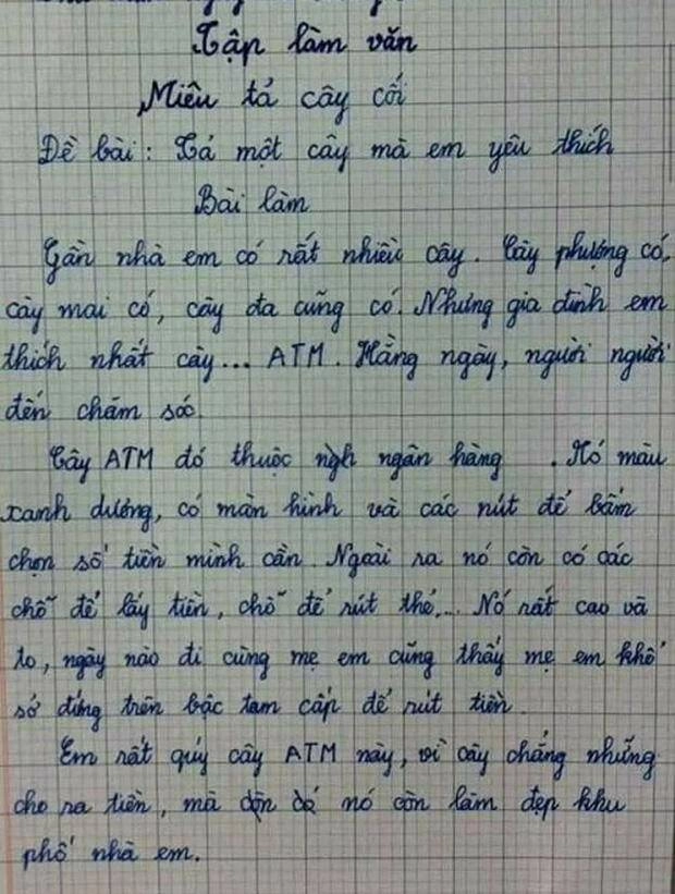 Cô giáo ra đề văn tả cây cối bé tiểu học kể về cây cho ra tiền khiến ai đọc cũng cười bể bụng - 1