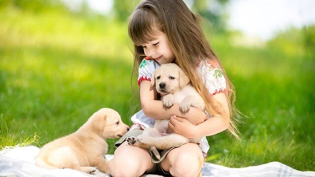 Con ngày nào cũng đi học về trễ một lần mẹ lén theo dõi thì phát hiện đứa trẻ ở nhà chú bảo vệ - 2