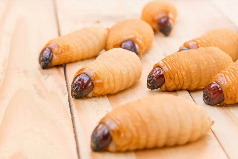 Đặc sản nhìn sợ khiếp vía nhưng nhiều người mê mẩn muốn thử bằng được ăn sống hay nấu đều ngon - 2
